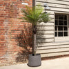 Potted palm tree in front of a brick wall and wooden building