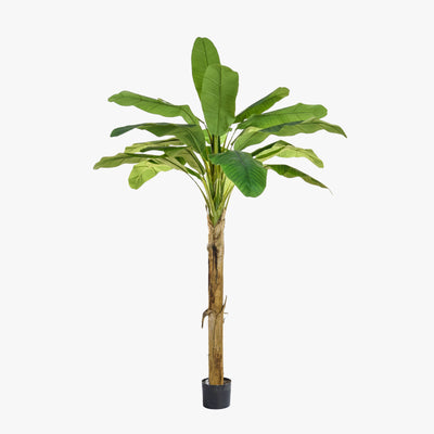 Artificial banana plant in a pot on a white background