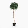 Potted artificial topiary tree with a twisted trunk on a white background