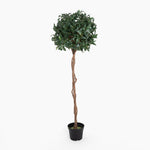 Potted artificial topiary tree with a twisted trunk on a white background