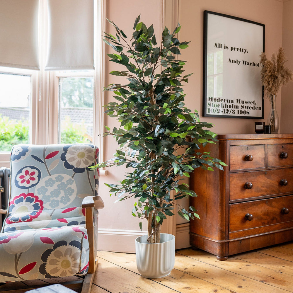 Living room with floral armchair, potted plant, and wooden dresser.