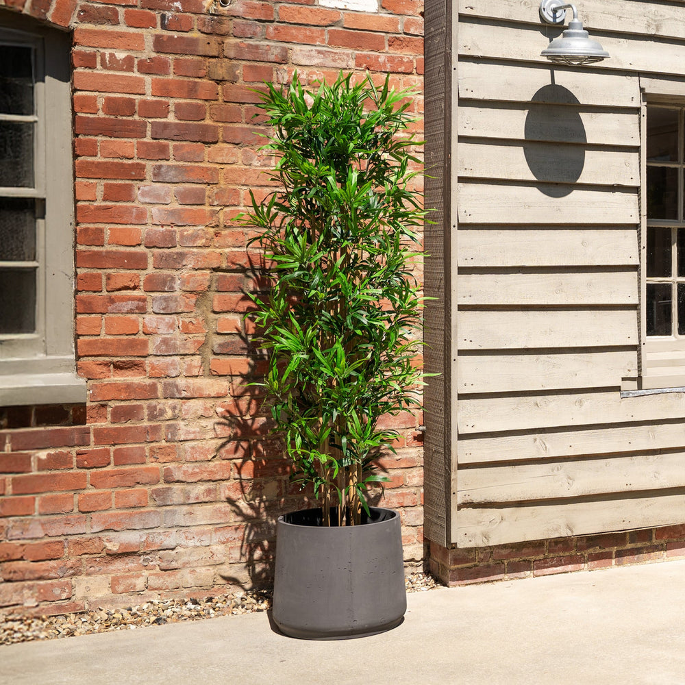 Potted plant in front of a brick and wooden building