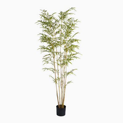 Artificial bamboo plant in a pot on a white background