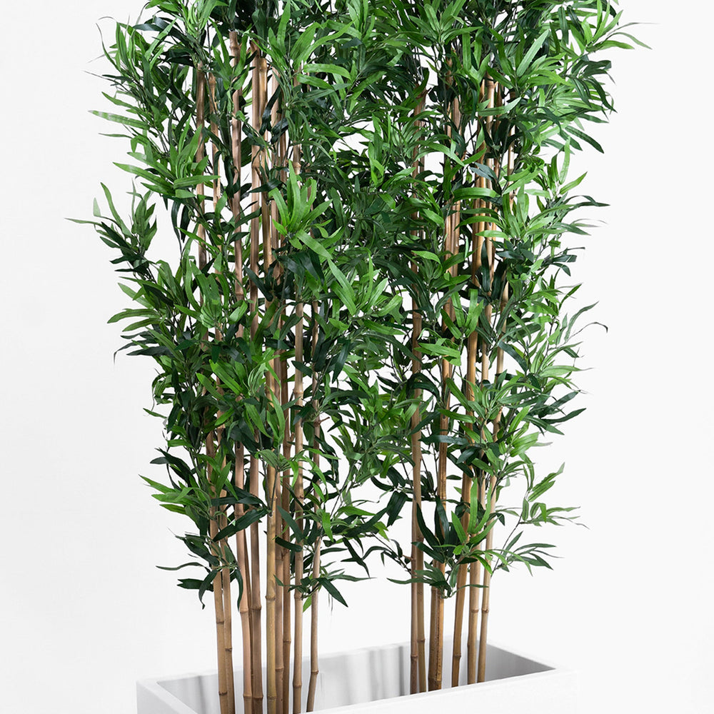 Oriental bamboo screening