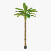 Artificial banana palm tree on a white background