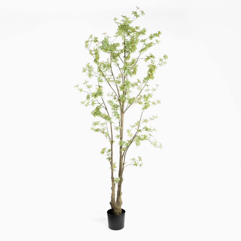 Artificial tree with green leaves in a pot on a white background