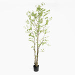 Artificial tree with green leaves in a pot on a white background
