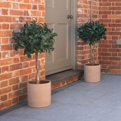 Two potted plants in front of a brick building with a door.