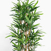 Artificial bamboo plant with green leaves on a white background