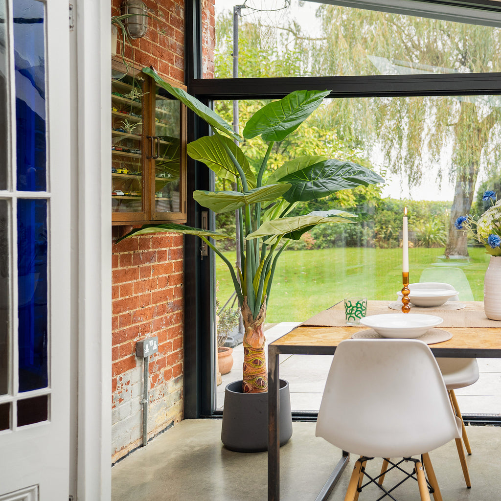 Modern dining area with a large plant, wooden table, and white chairs near a glass door.