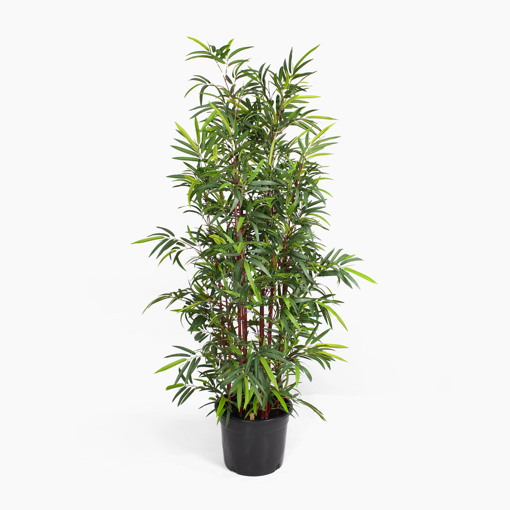 Artificial Asian wonder bamboo tree
