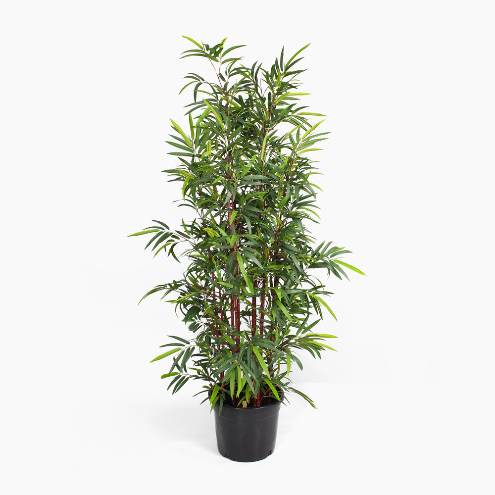 Artificial Asian wonder bamboo tree