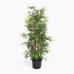 Artificial Asian wonder bamboo tree