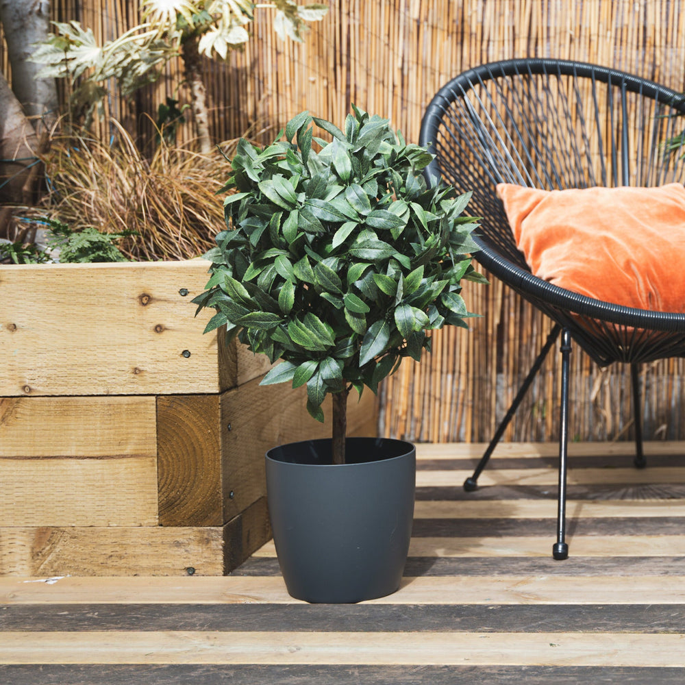 Potted plant on a wooden deck with a wicker chair and orange pillow in the background.
