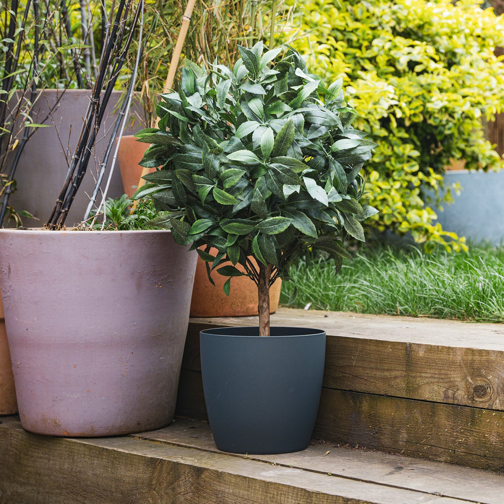 Potted plants on a wooden ledge with a garden background