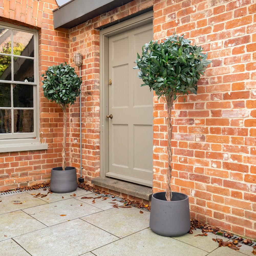 Two potted trees against a brick wall with a door