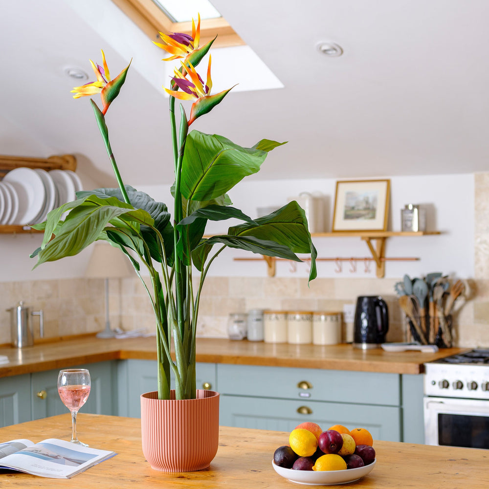 Kitchen counter with a potted plant, fruit bowl, and wine glass.