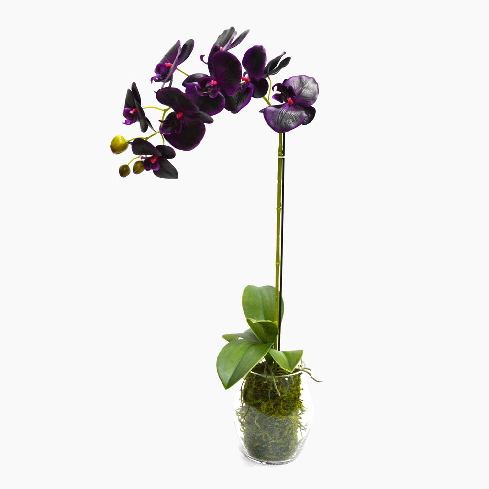 Artificial black diamond orchid