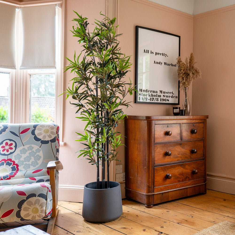 Room interior with wooden dresser, potted plant, and floral armchair.