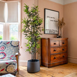 Room interior with wooden dresser, potted plant, and floral armchair.