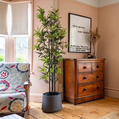Room interior with wooden dresser, potted plant, and floral armchair.