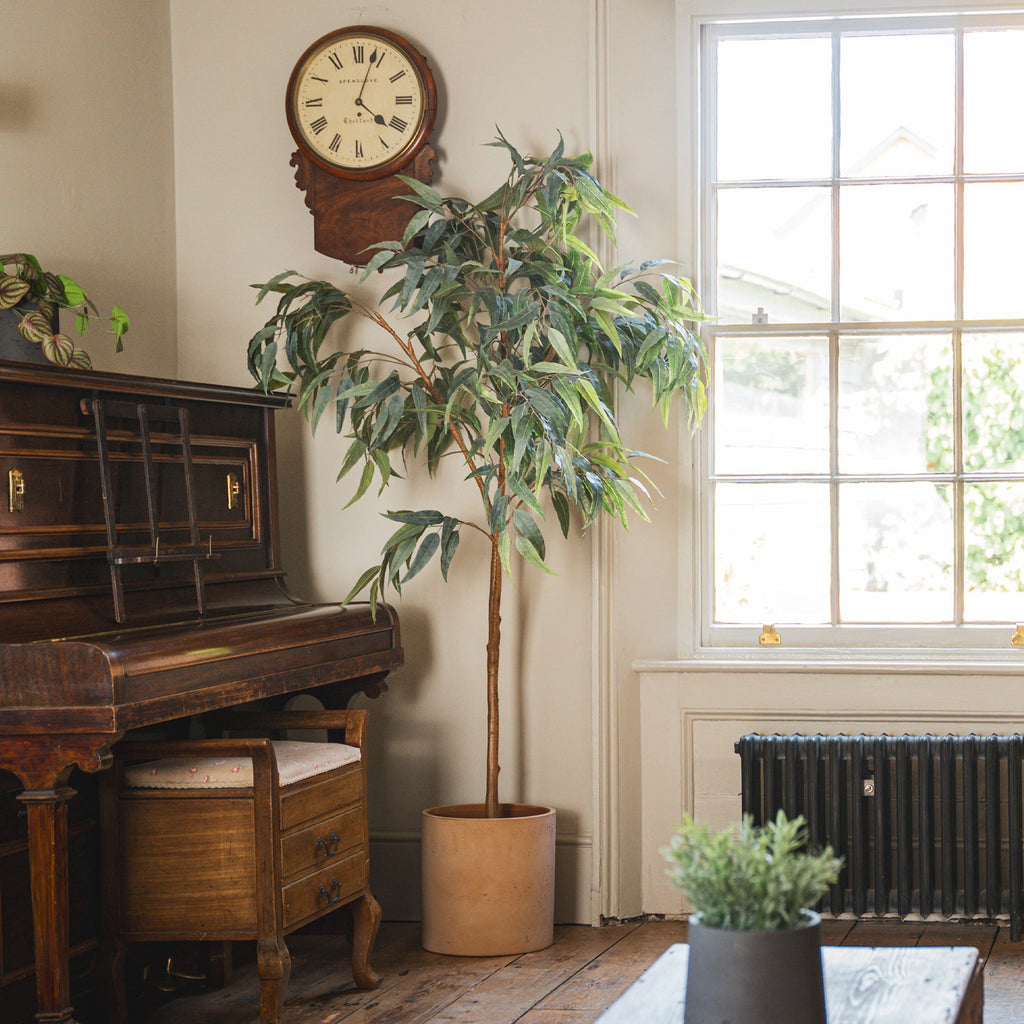 Room interior with a piano, potted plant, and window.