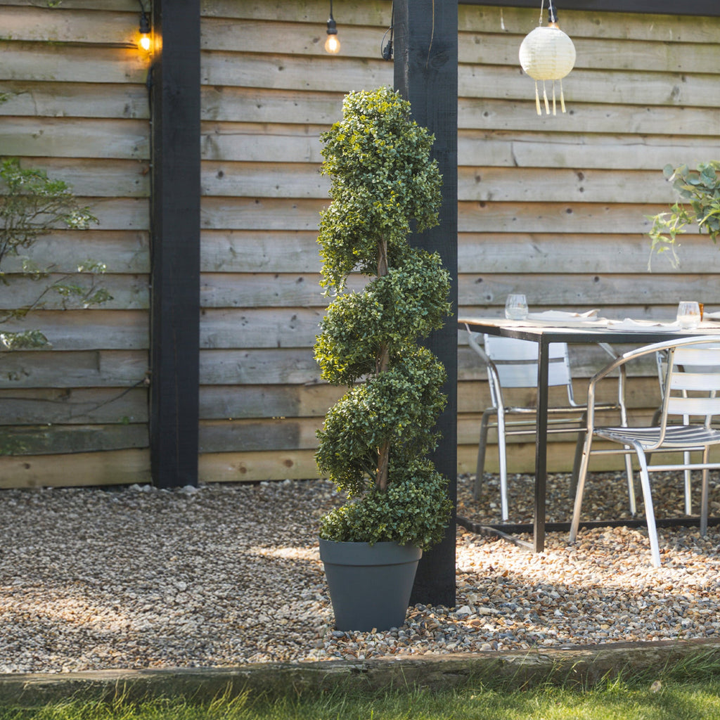 Boxwood spiral with stem