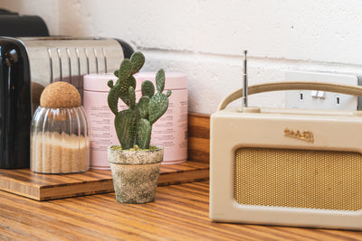 Beige radio on a wooden surface with a cactus plant and decorative items in the background.