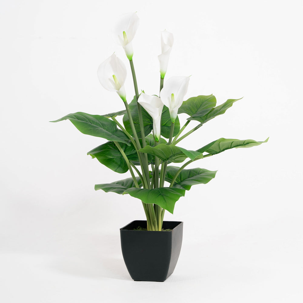 Artificial potted plant with white flowers and green leaves on a white background