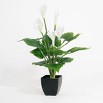 Artificial potted plant with white flowers and green leaves on a white background
