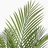 Artificial canary palm leaves