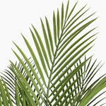 Artificial canary palm leaves