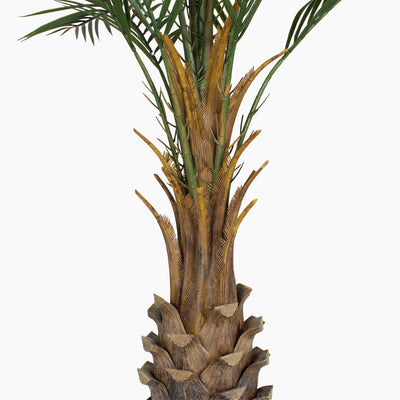 Artificial canary palm stem