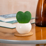 Decorative items including a small green plant, books, and a brown vase on a round wooden table.