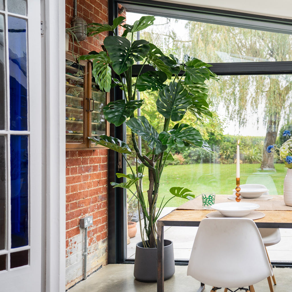 Modern dining room with a large plant, wooden table, and white chairs.