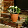 Terracotta pot with flowers on a stone step next to a brick wall.