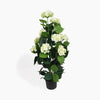 An artificial potted hydrangea plant with clusters of ceam flowers and green leaves in a black plastic pot, photographed on a clean white background.