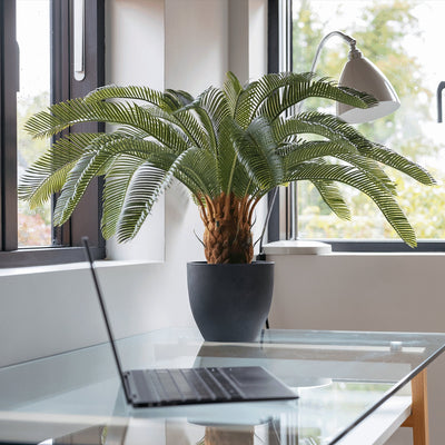 Laptop on a glass desk with a potted plant in the background
