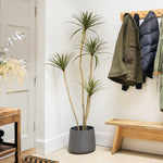 Entryway with coats hanging on a rack, a plant, and a wooden bench.