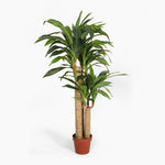 Artificial dracaena tree