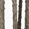 Artificial euphorbia tree stems