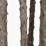 Artificial euphorbia tree stems