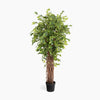 Potted artificial tree with green leaves on a white background