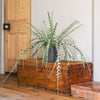 Potted plant on a wooden chest in a room with wooden floor and white walls
