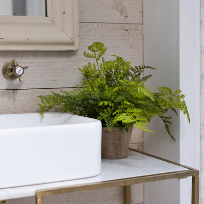 Fern plant on a metal shelf next to a white sink with wooden wall and mirror in the background