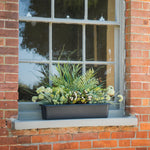 Window box with greenery on a brick window sill