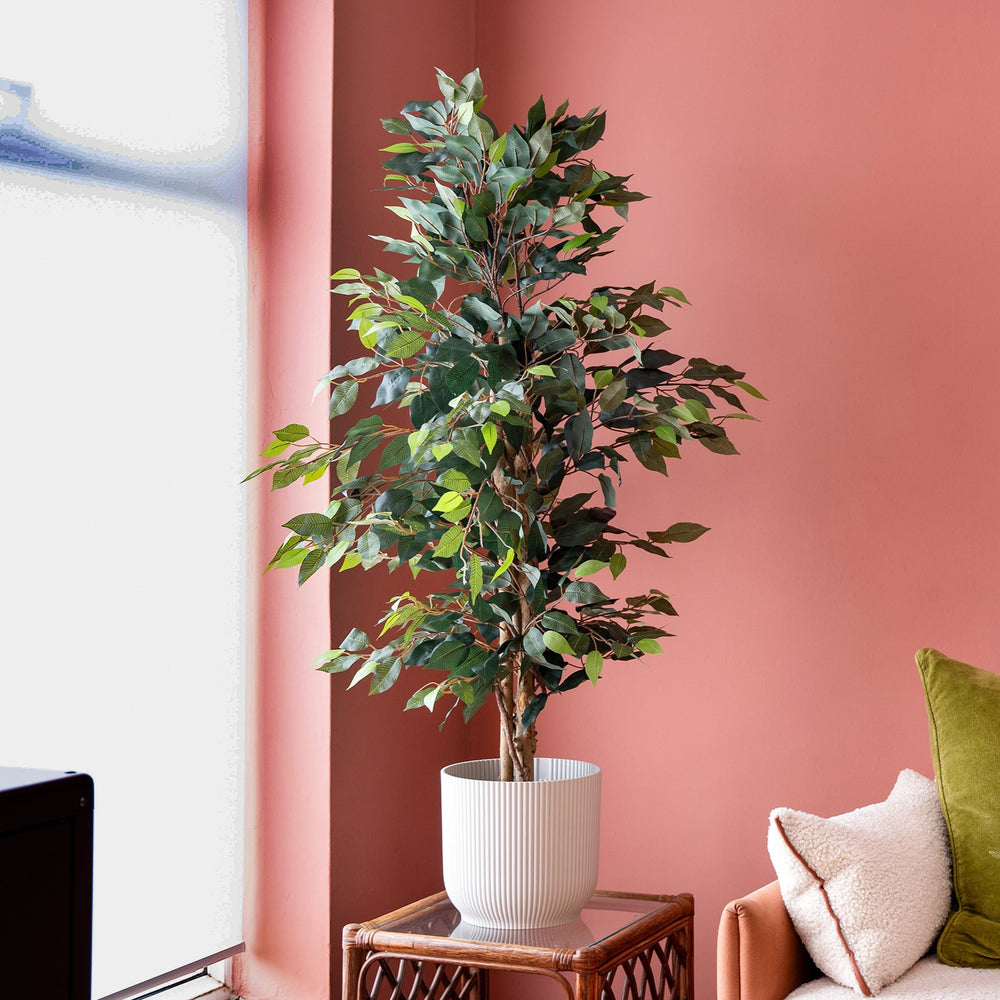 Potted plant on a wooden side table against a pink wall with a sofa and cushions.