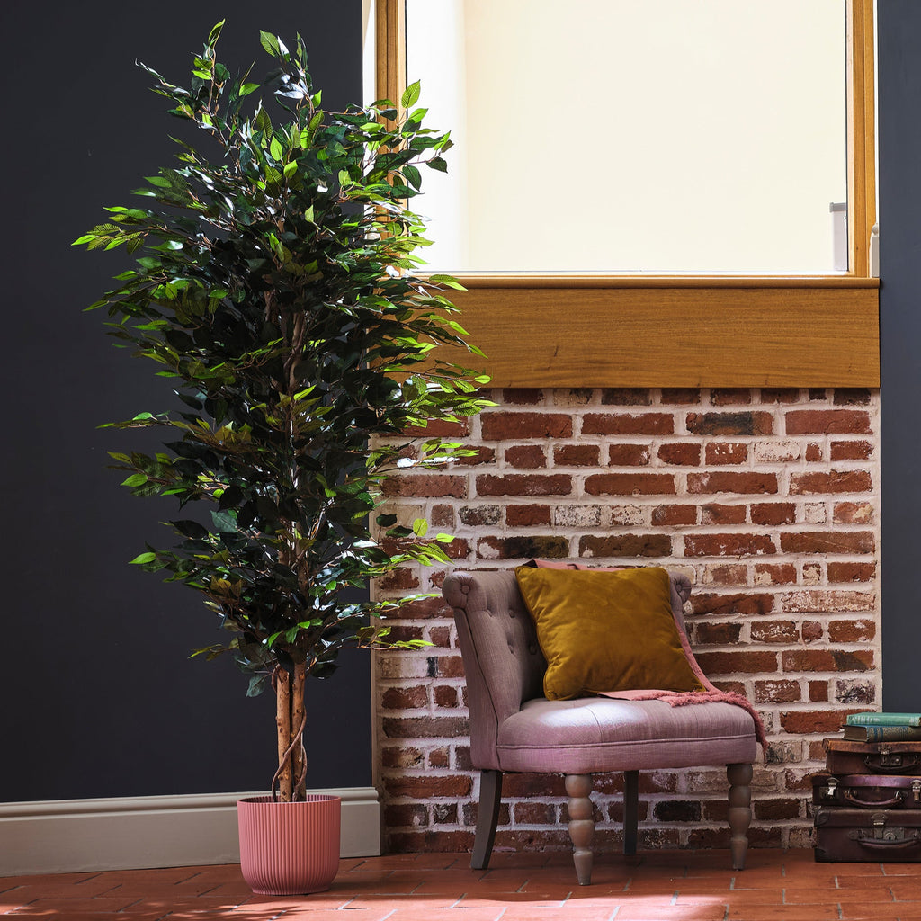Room interior with a plant, chair, and brick wall.