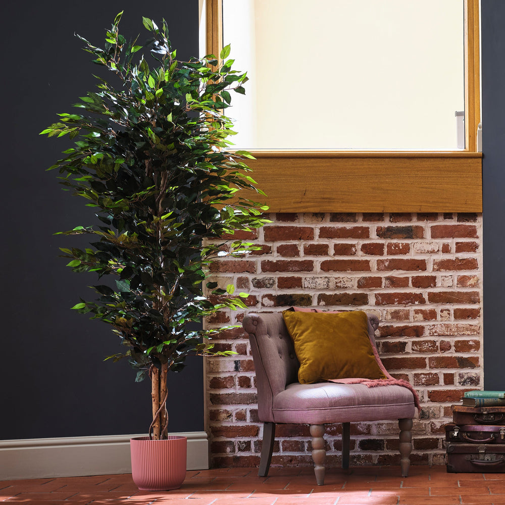 Room interior with a plant, chair, and brick wall.