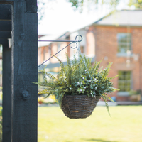 Hanging basket with green plants attached to a wooden pergola